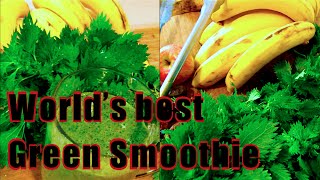 WORLDS BEST GREEN SMOOTHIE [upl. by Oyr]