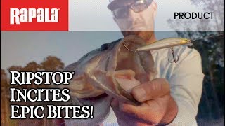 FastRipping HardStopping Rapala® Ripstop® Incites Epic Bites [upl. by Nelehyram]