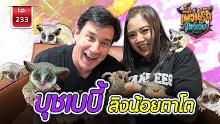 Bush baby บุชเบบี้ ลิงน้อยตาโต I เพื่อนรักสัตว์เอ๊ย Ep233 [upl. by Seftton]