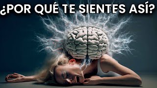 TODO sobre los NEUROTRANSMISORES ✅ Salud Mental y Emociones  Tipos Clasificación y Funciones [upl. by Lasley]