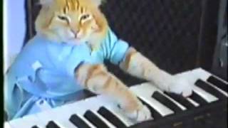 Play Justin Bieber Off Keyboard Cat [upl. by Wellington371]