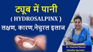 ट्यूब में पानी  HYDROSALPINX  के कारण लक्षण निदान एवं उपचार  Dr Chanchal Sharma [upl. by Ybrik]