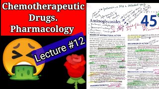 Chemotherapeutic drugs pharmacology lecture12 chapter 45 AMINOGLYCOSIDES [upl. by Macdougall]