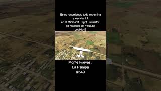 Comenten por donde quieren que pase 🇦🇷 montenievas lapampa argentina microsoftflightsimulator [upl. by Linzer]