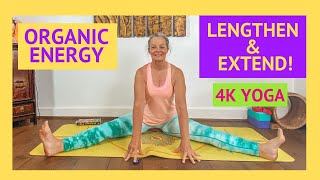 25 Minute Organic Energy Anusara Yoga Class in 4K  Extend Stretch amp Reach Out  Stay a while [upl. by Robers281]