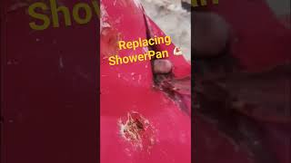 Huge Shower Pan Replacement shorts shower tile bathroom [upl. by Tracy959]