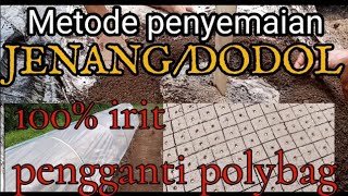 Tutorial penyemaian cabaimetode jenangdodol100 IRIT pengganti polybag [upl. by Eerrahs]