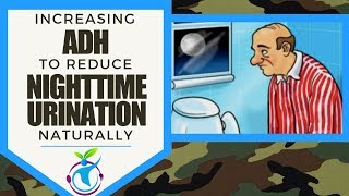 Increasing ADH to Reduce Nighttime Urination Naturally [upl. by Inirt]