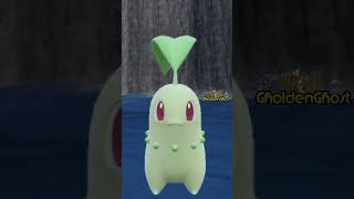 Why is Chikorita So Darn CUTE pokemon chikorita pokemonscarletviolet [upl. by Hafital]