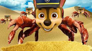 Noise storm  Crab Rave Paw Patrol Release [upl. by Nylarak]