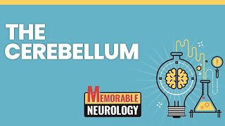 Cerebellum Mnemonics Memorable Neurology Lecture 6 [upl. by Aleekahs463]