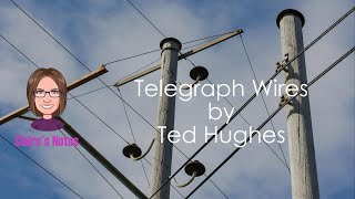 Telegraph Wires by Ted Hughes Linebyline analysis [upl. by Wsan557]