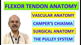 Flexor tendon anatomy Complete [upl. by Aggarwal834]