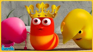 LARVA COCOON  Larva Season 1 Episode 19  Larva Cartoons 2022  Cartoon Comedy Video 2023 [upl. by Siroved11]