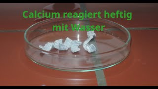 Calcium reagiert mit Wasser [upl. by Jacynth]