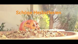 Schöne Herbstferien [upl. by Grantham]