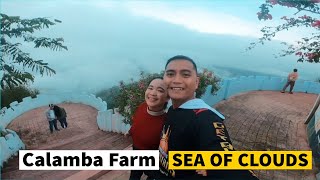 CALAMBA FARM SEA OF CLOUDS MARAGUSAN  AHYE TV [upl. by Lutim451]