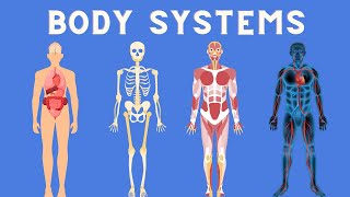 11 Body Systems in 3 minutes [upl. by Zacherie]