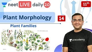 NEET Plant Morphology  L14  Class 11  Live Daily 20  Unacademy NEET  Pradeep Sir [upl. by Aisyla508]