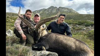 Promo Spanish Ibex hunt with Caza el Jaral [upl. by Longan716]