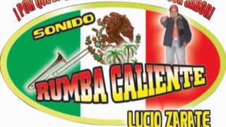 Ahi Viene La Conga Limpia  Guaracha  Éxito Rumba Caliente [upl. by Winna]