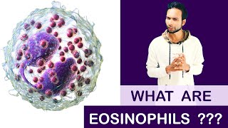 What are Eosinophils   Clear amp Complete Explain [upl. by Platt470]