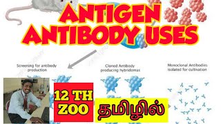 ANTIGEN AND ANTIBODY USES  TAMIL  IMMUNOLOGY  STD 12 [upl. by Vaclav]