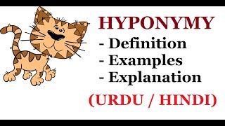 What is Hyponymy   Definition with Examples and Explanation  Urdu  Hindi [upl. by Shellans]