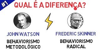 BEHAVIORISMO  Entenda a Diferença entre Metodológico e Radical em Apenas 5 Minutos [upl. by Cence188]