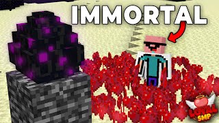 How I gained INFINITE HEARTS To Win the END WAR in Loyal SMP [upl. by Ellyn404]