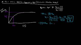 Enzymes  Michaelis Menten Model  A Few More Details [upl. by Amerigo]