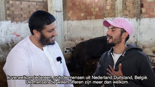 IN MAROKKO 🇲🇦 BELEEF JE ECHT HET OFFERFEEST [upl. by Oirrad]