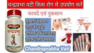 चन्द्रप्रभा वटी के फायदे एवं नुकसान । Benefits of Chandraprabha Vati [upl. by Solrak]