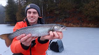 Ice Fishing on SECRET Backcountry Lakes for Splake [upl. by Nidia341]