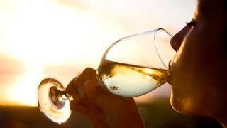 A winelovers guide to Pinot Grigio  The World of Wine [upl. by Harlan864]