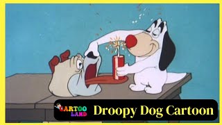 Droopy Dog Cartoon  Full Episodes  By Cartooland cartoon funny [upl. by Tiphanie343]