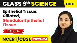 Epithelial Tissue Ciliated Glandular Epithelial Tissue  Class 9 Biology Chapter 6  Tissues [upl. by Orella]