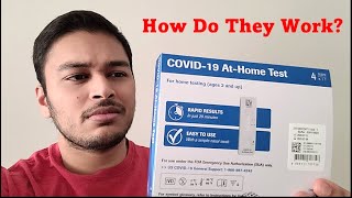 How Do Rapid COVID19 Antigen Tests Actually Work  Doctor Squared [upl. by Epillihp339]