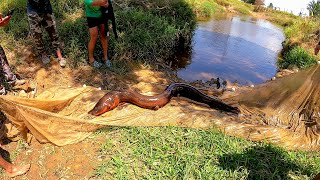 Primera pesca en Colombia pescamos anguilas gigantes eléctricas y muchos peces [upl. by Garretson]