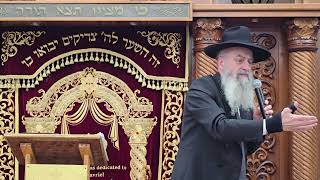 Beth Gavriel Netz Minyan 4  RUSSIAN Rabbi Shmuel Alishaev 5784 [upl. by Utham]