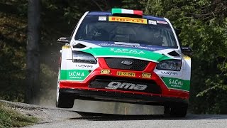 20° Rally Valli Cuneesi 2014  Pure Sound HD [upl. by Aneleve]