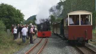 Gelert goes to Hafod y Llyn [upl. by Ferren]