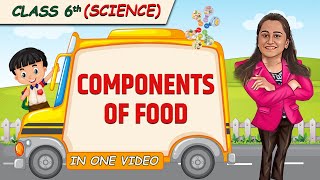 Components of Food  Full Chapter in 1 Video  Class 6th Science  Champs Batch [upl. by Glynn]