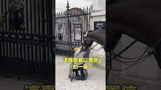 靈性的軍馬自說自話的總裁 [upl. by Esorlatsyrc]