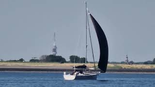 take a look at zeelander yachts sailing in bruinisse zeeland the netherland july 2023 [upl. by Eremehc831]