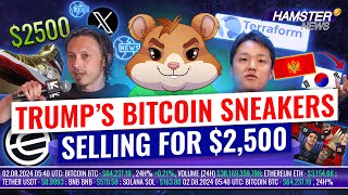 Trump’s Bitcoin sneakers Manchester United collectibles Bitcoin 24M prediction ⚡️ Hamster News [upl. by Hannah118]