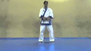 3º KICHO SAM BO TAEKWONDO MOO DUK KWAN CDAMCHR [upl. by Lussi]