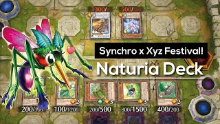 They dont know the rule of Naturia Deck  Syncro Xyz Festival Master duel 2022 [upl. by Barvick181]