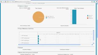 Salesforcecom RFP Process and Milestones PM App [upl. by Oiramad578]