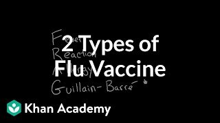 2 Types of Flu Vaccine [upl. by Juna]